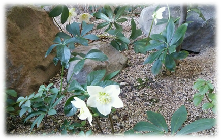b0301478_16331582.png