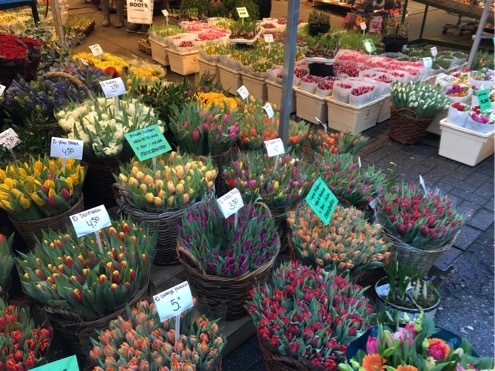 d0146792_12562310.jpeg