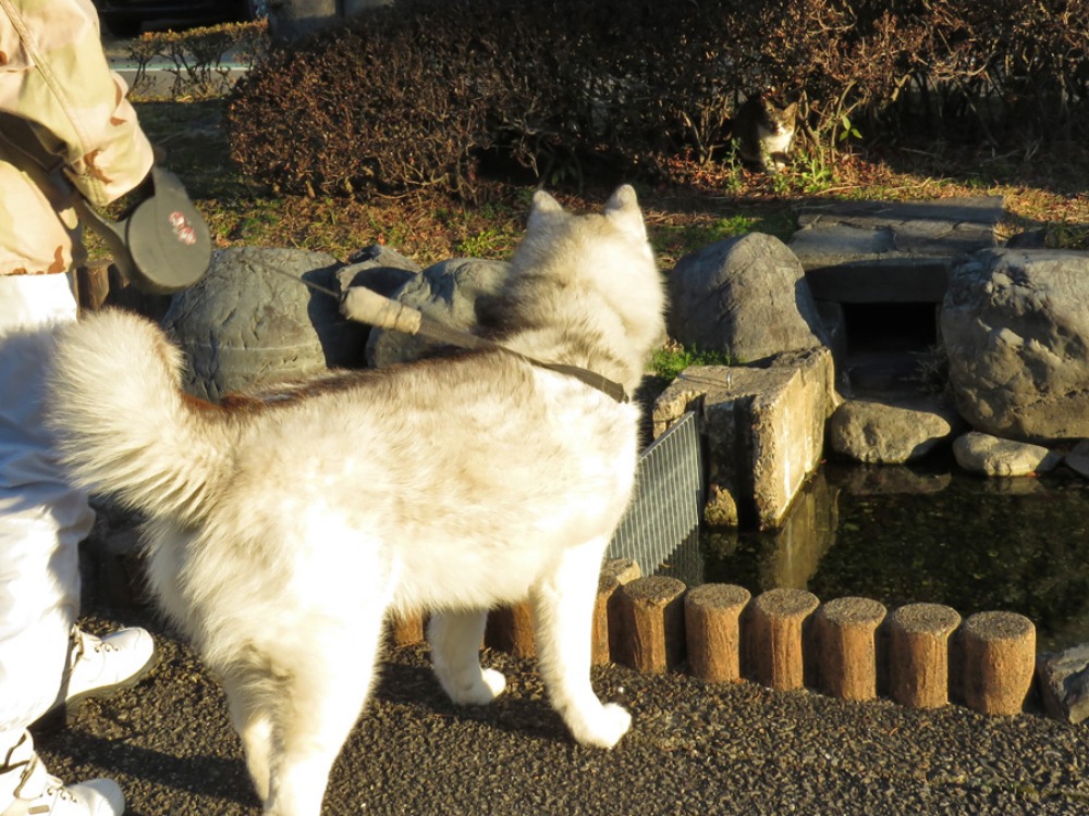 いきものバンザイ (^o^)_c0049299_22205476.jpg