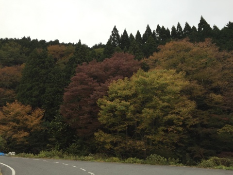 e0115904_16475350.jpg