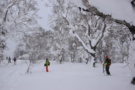 1月25日朝里川温泉スキー場の上の山を滑る_c0242406_16302940.jpg