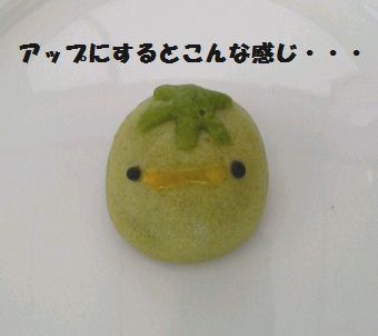 はたして河童は動物か?_e0234016_1892373.jpg