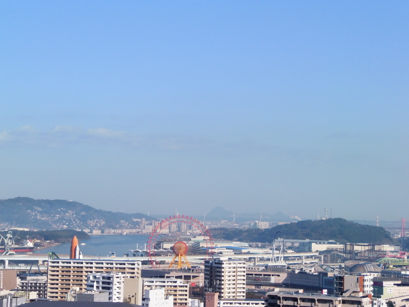 「甘夏」の収穫&「現場」作業。_a0125419_19491837.jpg
