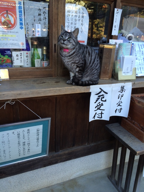 梅宮大社_a0197730_2124211.jpg