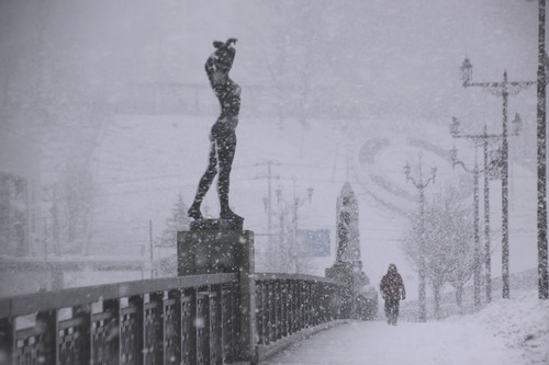 風雪なにするものぞ 2月10日_f0113639_18151796.jpg