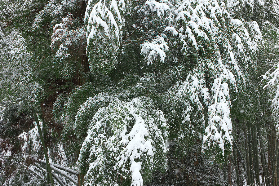 c0067040_23353425.jpg