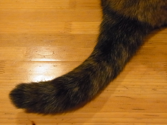 a0305046_09512690.jpg