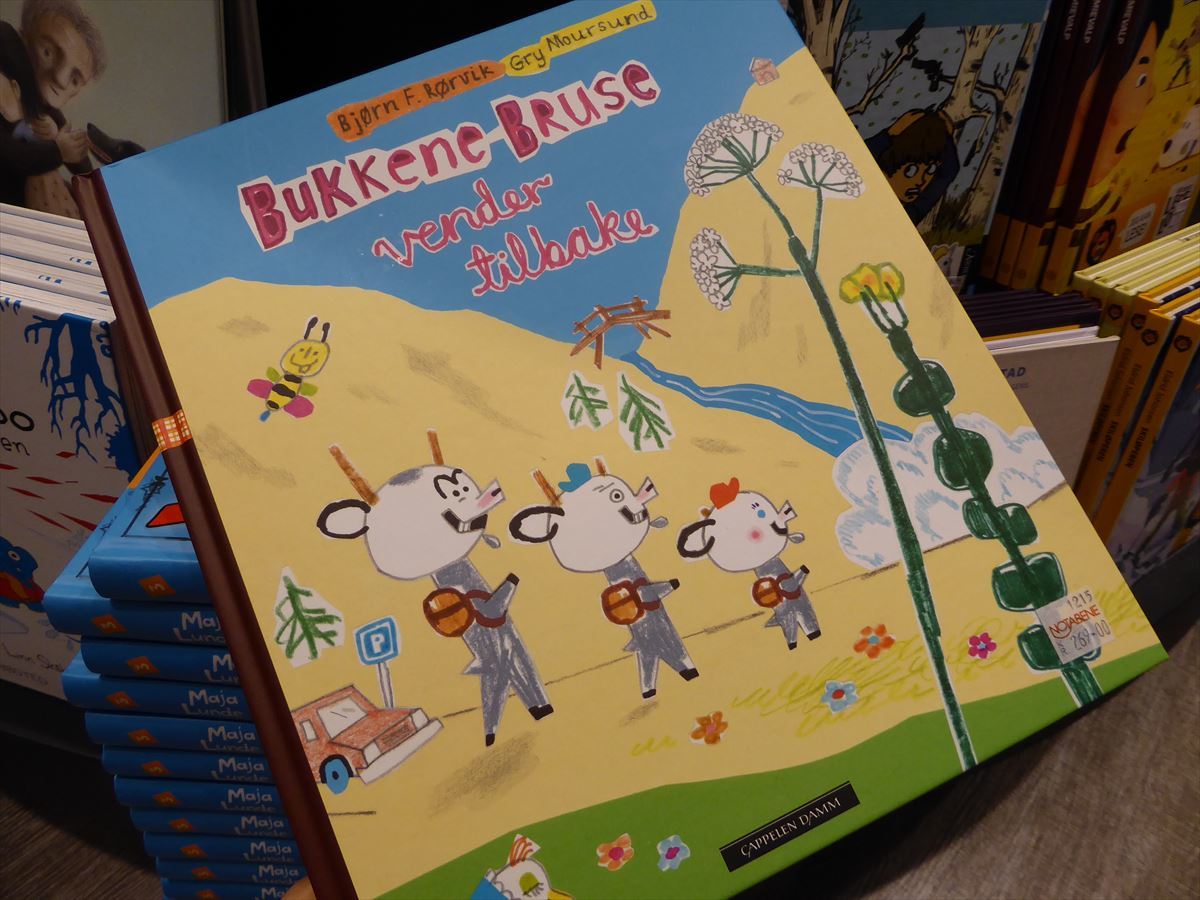 ノルウェーの絵本 : ノルウェー北極圏の街へ