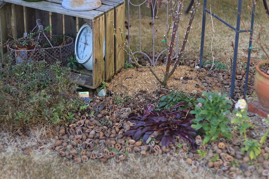 f0272164_15031127.jpeg