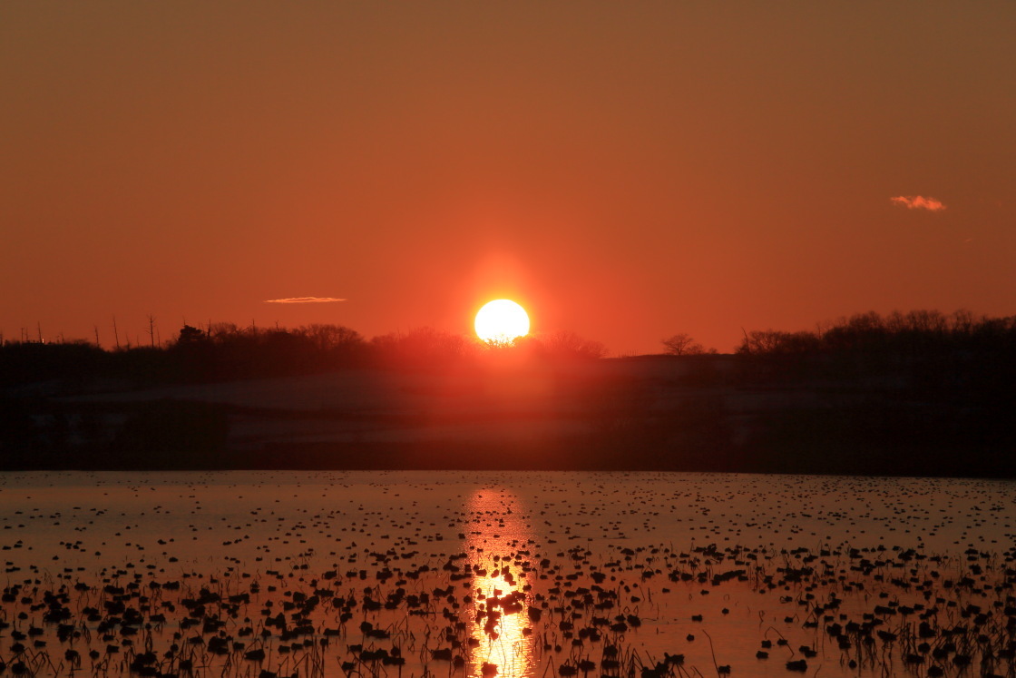 佐潟の夕景_e0096372_10030925.jpg