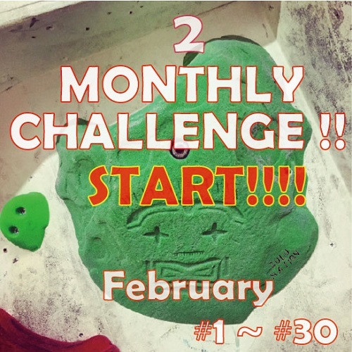 MONTHLY CHALLENGE 2月_d0246875_15484172.jpg