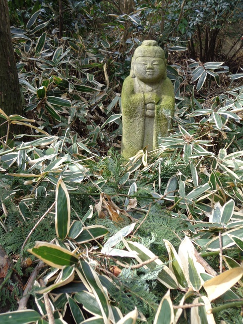 三光院～川越氷川神社_e0262580_1535249.jpg