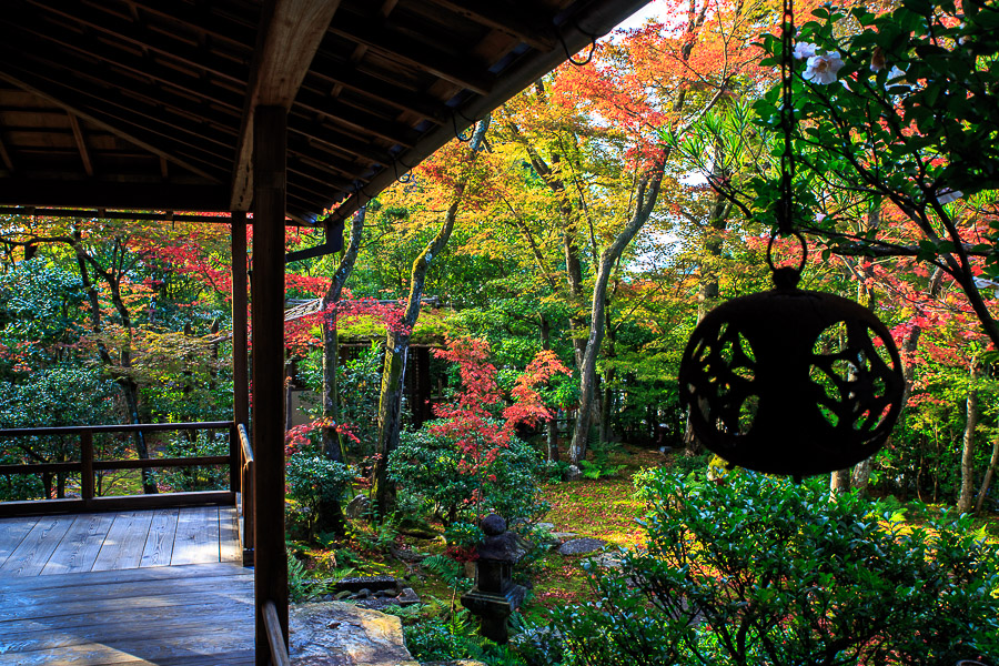 紅葉2015！　　～妙心寺塔頭　大法院～_b0128581_2119573.jpg