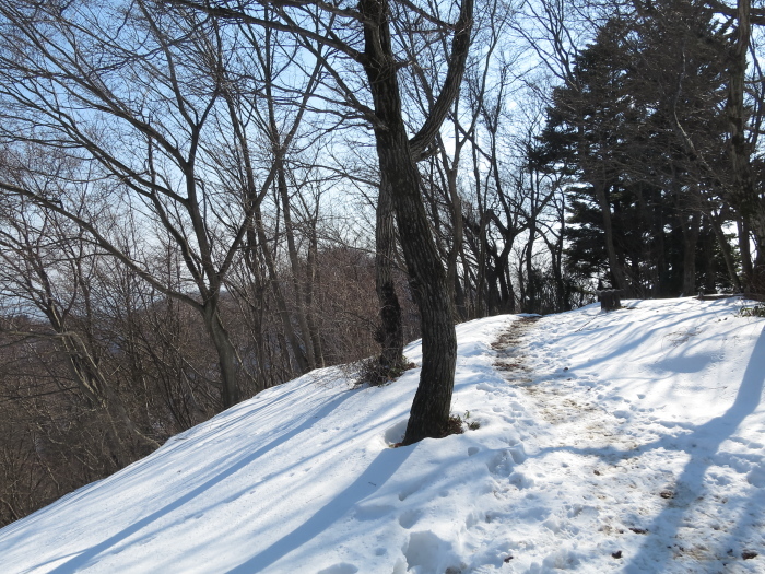 b0339488_21220291.jpg