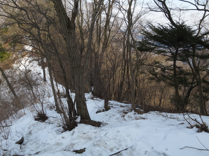 b0339488_21222875.jpg