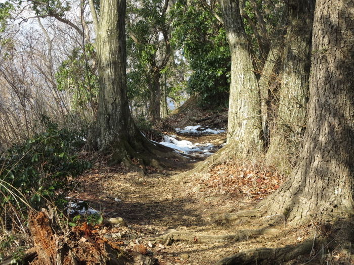 b0339488_21223822.jpg