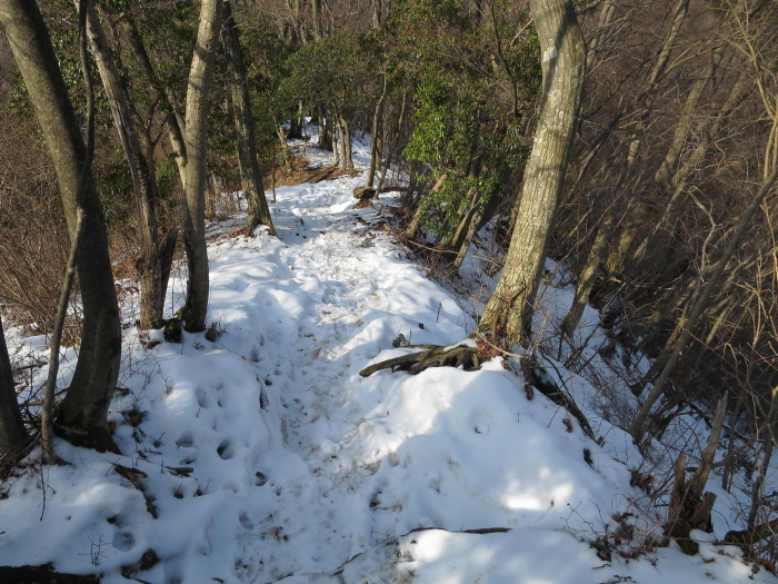 b0339488_21223880.jpg