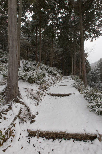 圓光寺_e0051888_4535191.jpg