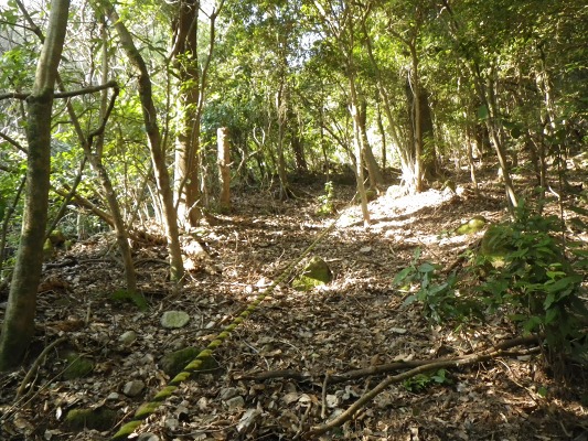 f0187402_19541025.jpg