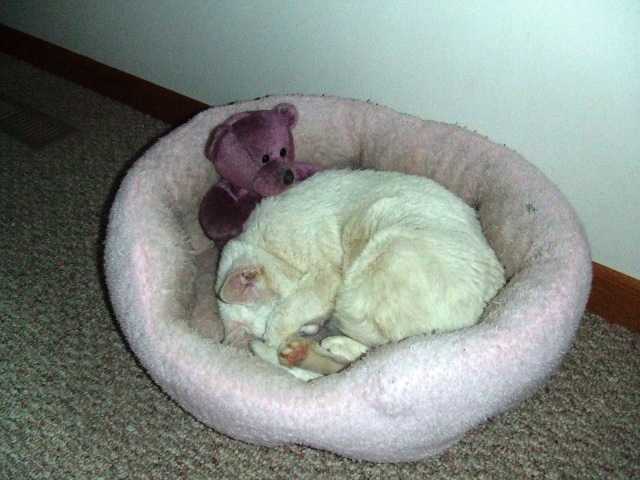 c0062603_14181115.jpg