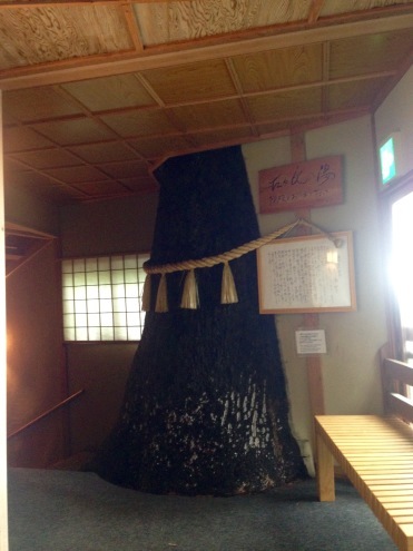 a0298406_09370116.jpeg