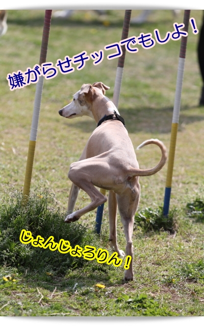 安心して下さい・・・♪(* ̄ー ̄*)_e0100007_7554266.jpg