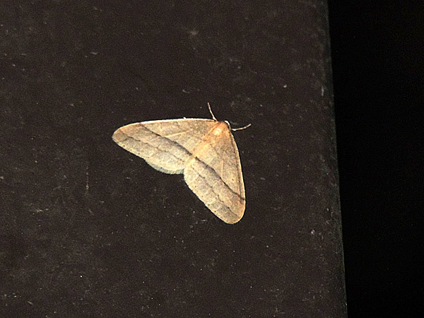 b0033112_12122673.jpg