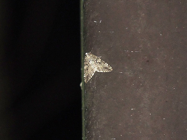 b0033112_12125557.jpg
