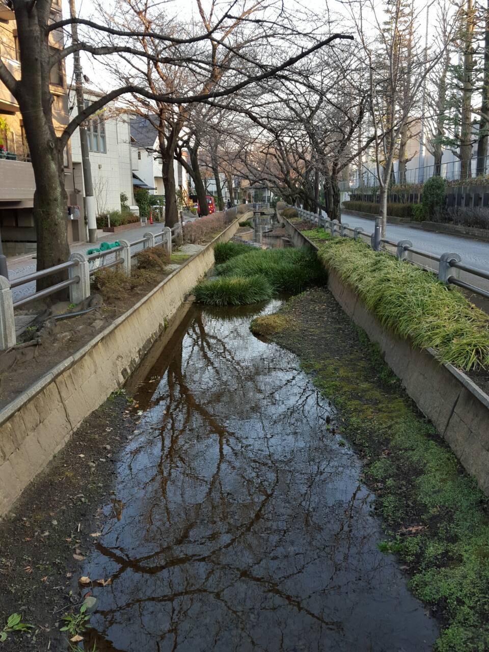 寂しいな、閑さんはもういない_e0016828_11223309.jpg