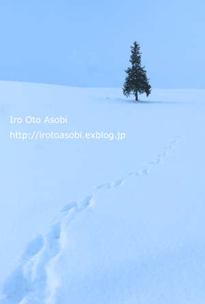 d0300034_1228211.gif