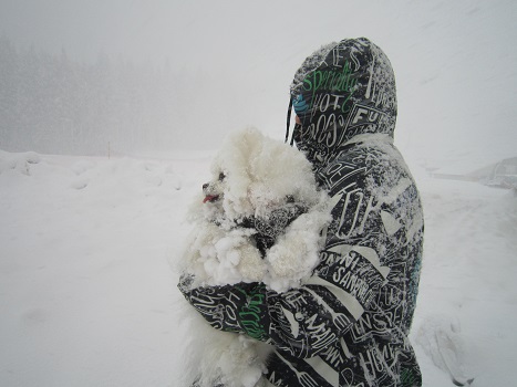 雪遊びですよ～♪３（２）_b0177436_21504778.jpg