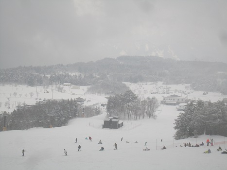 雪遊びですよ～♪３（２）_b0177436_2203049.jpg