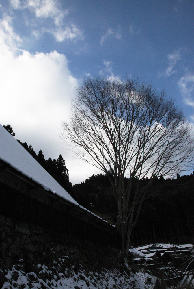 宇陀市　田口元角川（たぐちもとつのかわ）　民家に雪_c0108146_2091039.jpg