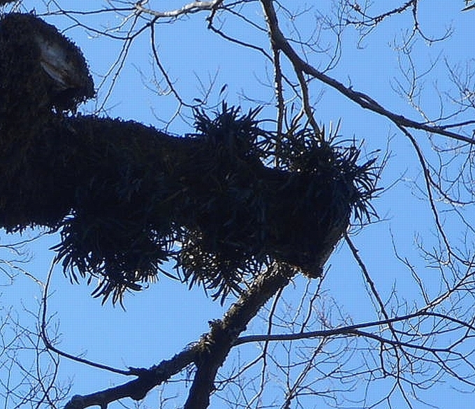 a0353447_17281534.jpg