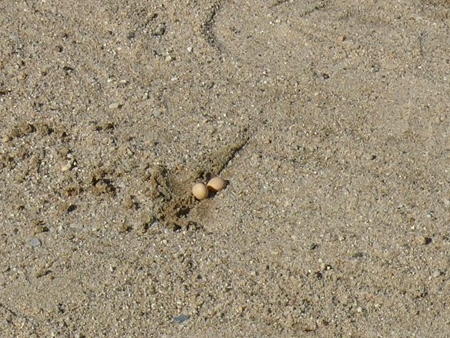 f0089748_2205312.jpg