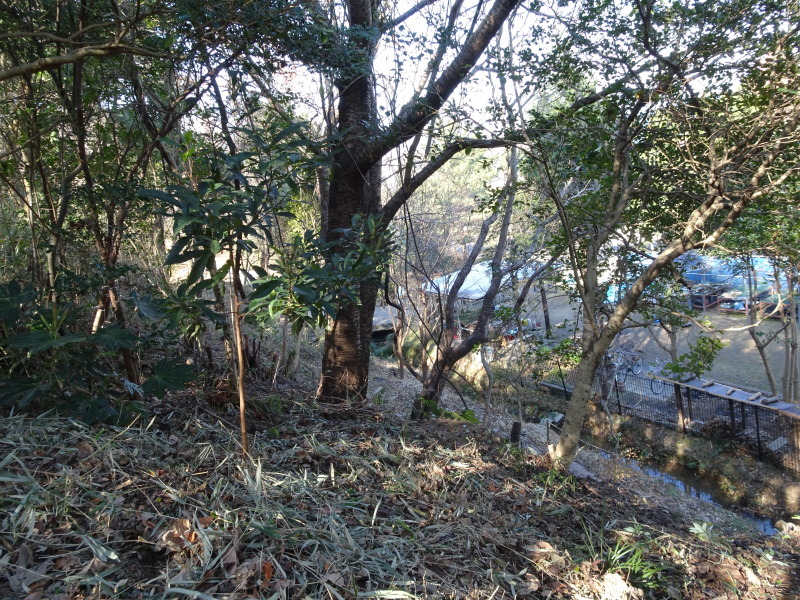 c0108460_20141684.jpg