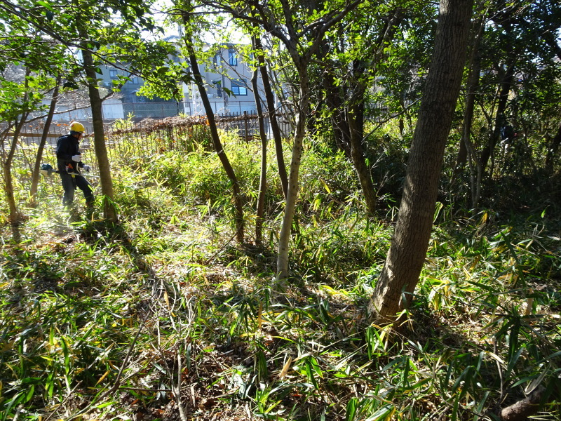 c0108460_20164123.jpg