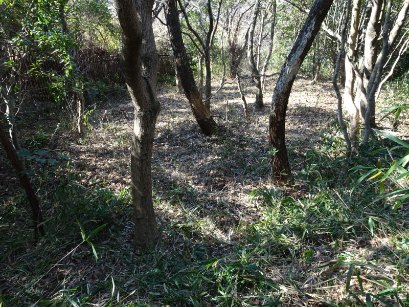 c0108460_20164360.jpg