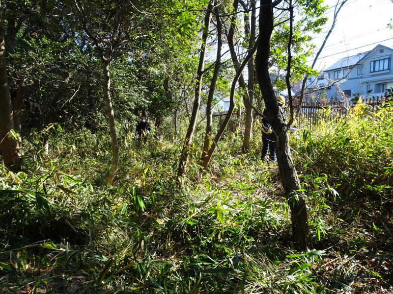 c0108460_20164751.jpg