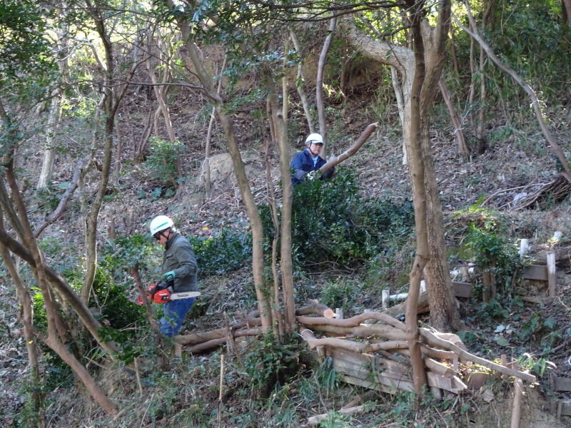 c0108460_20283350.jpg