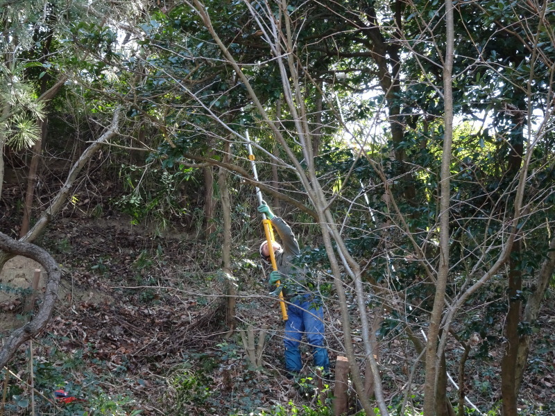 c0108460_20295820.jpg
