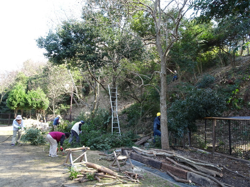 c0108460_20371543.jpg