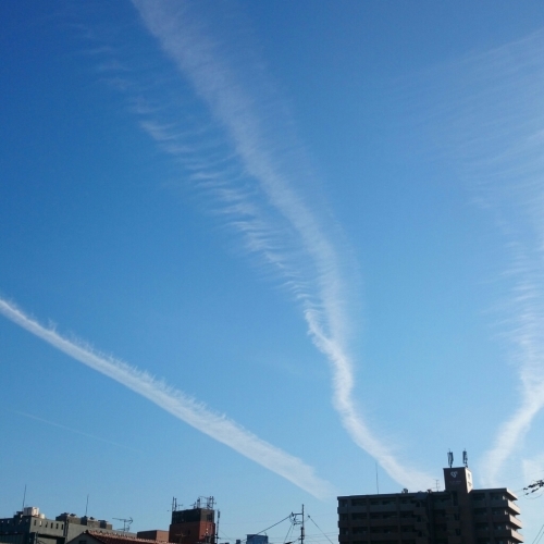 b0346961_17352284.jpg