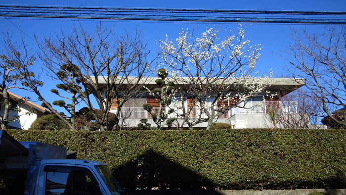 b0300769_5113629.jpg