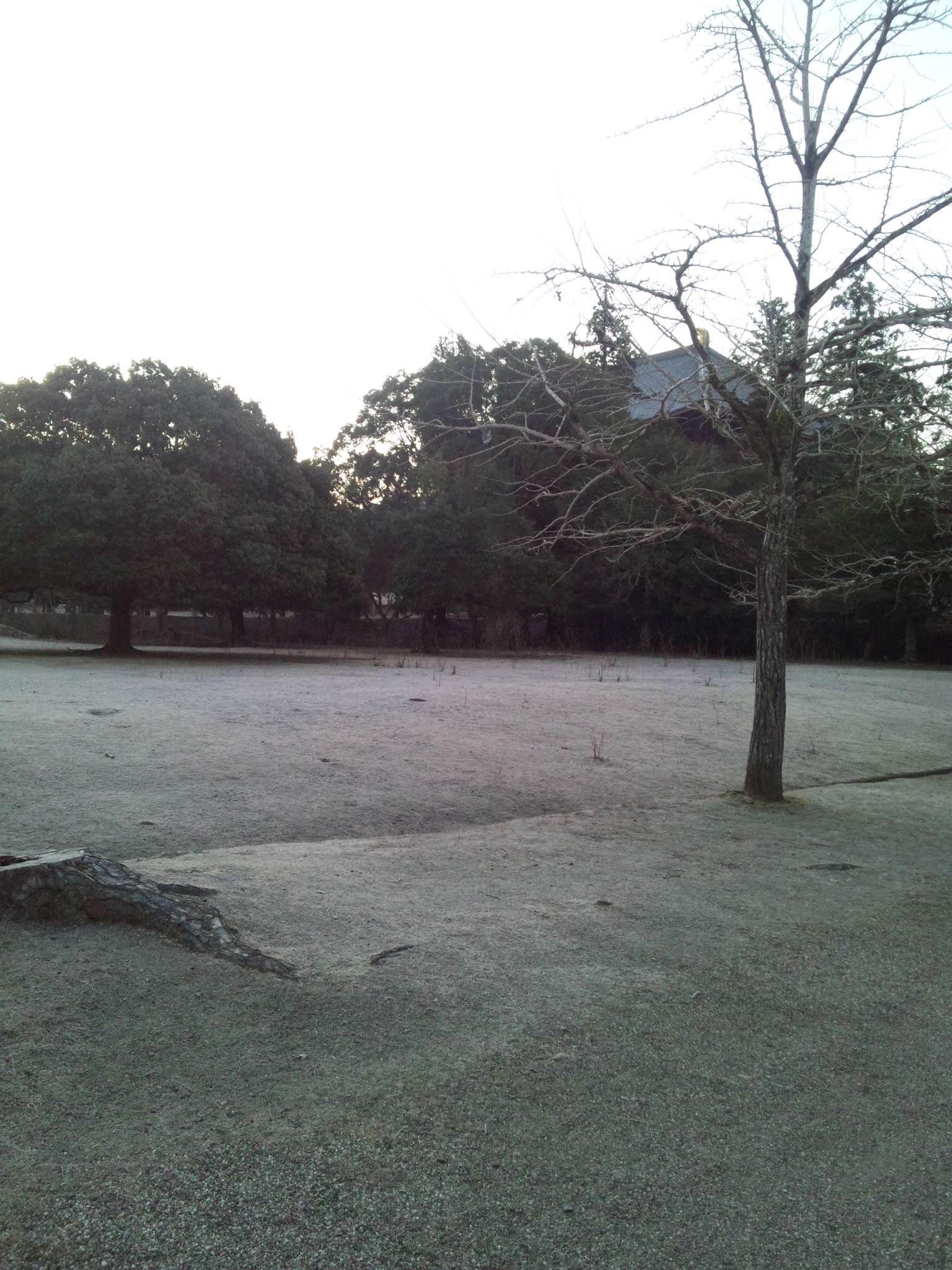 c0001670_6532559.jpg