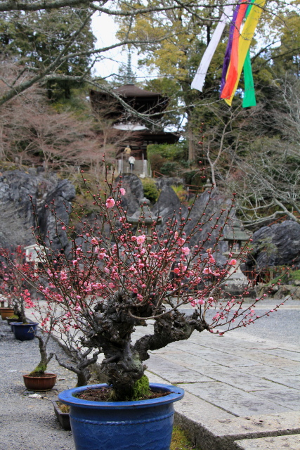 b0055171_23253740.jpg