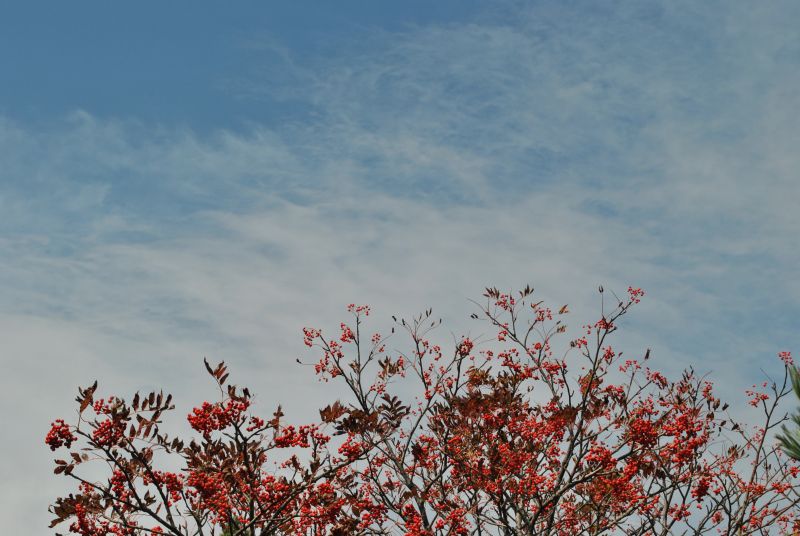 安達太良山の紅葉　その１_f0234471_19102232.jpg