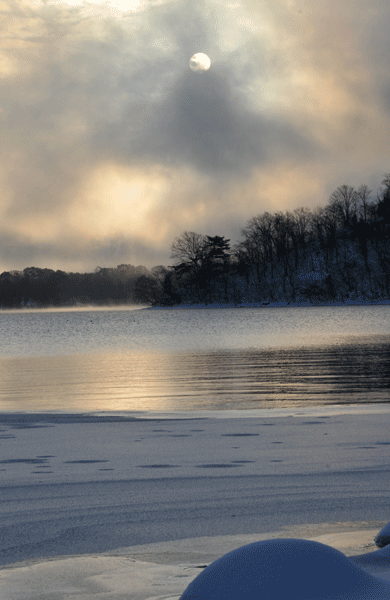 e0064375_17325526.gif