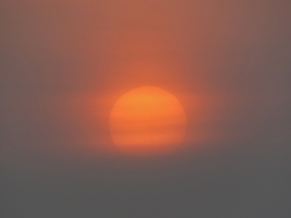 c0049299_22364136.jpg