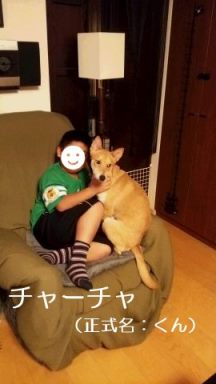 あんこちゃん 新生活スタート!_f0242002_2211898.jpg